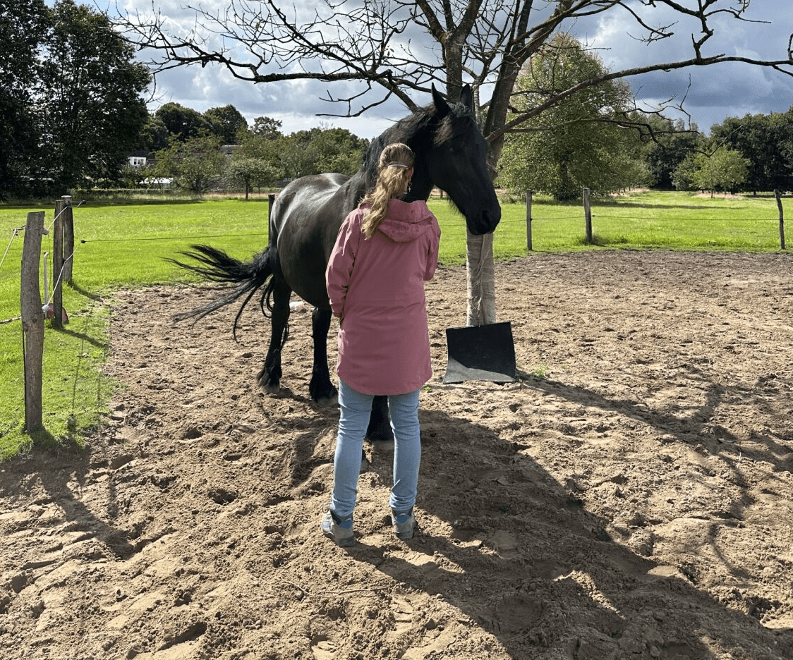 Screenshot 2025-03-20 at 16.42.16