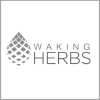 walking_herbs_logo.png